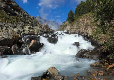 Altay. nehir karakabak.