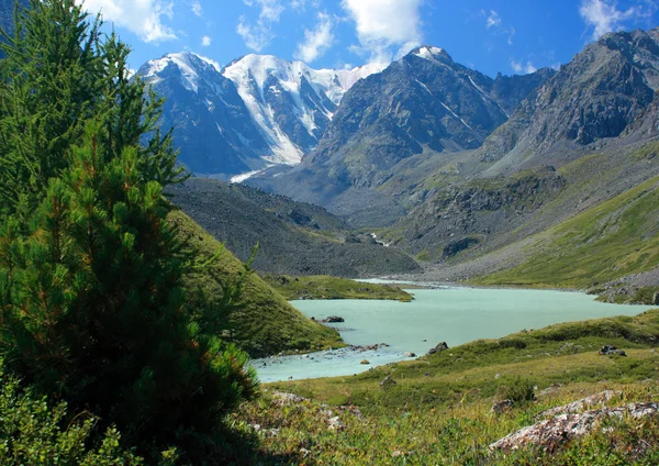 Altaj. jezero karakabakskoe. — Stock fotografie