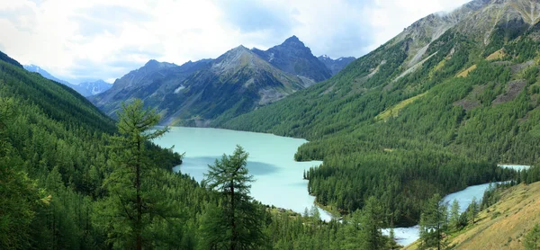 Altai. Lake Kucherlinskoe. Royalty Free Stock Images