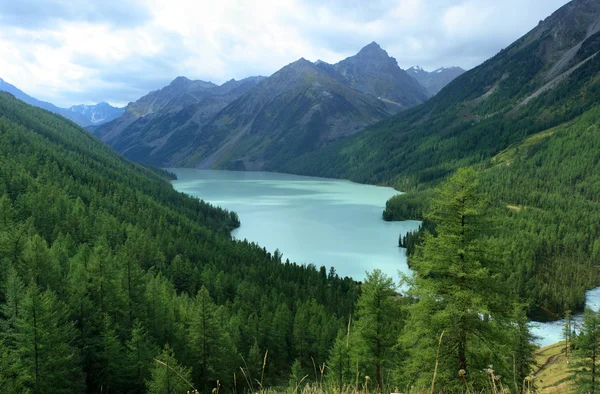 Altai. Lake Kucherlinskoe. Stock Photo