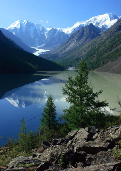 Berg de Altaj. Lake maashej. — Stockfoto