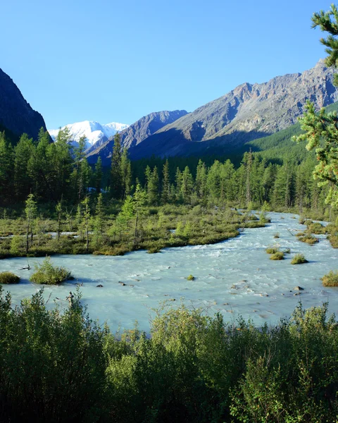 Altai di montagna. Russia. Il fiume Maashej . — Foto Stock