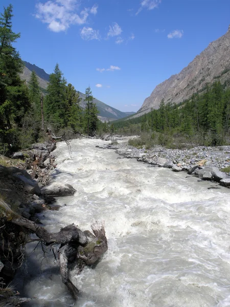 Mountain Altai. Russia. The river Maashej. — Stock Photo, Image