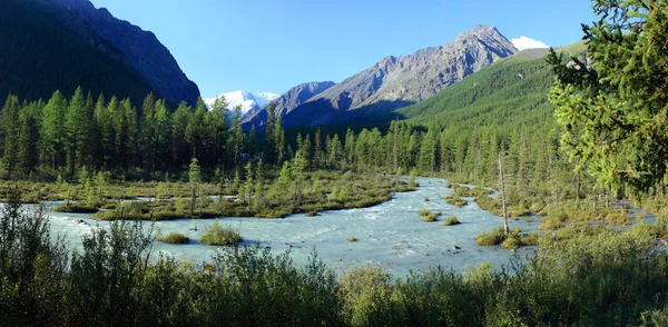 Mountain Altai. Russia. The river Maashej. — Stock Photo, Image