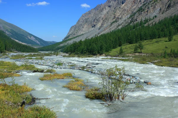 Berg altai. Ryssland. river maashej. — Stockfoto