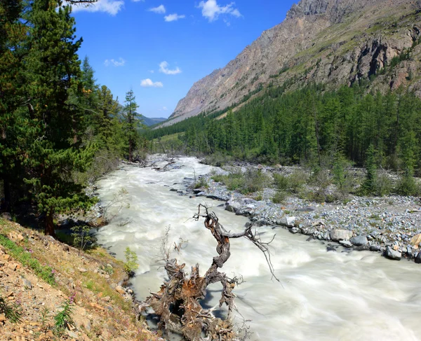 Bergaltai. Russland. der Fluss maashej. — Stockfoto