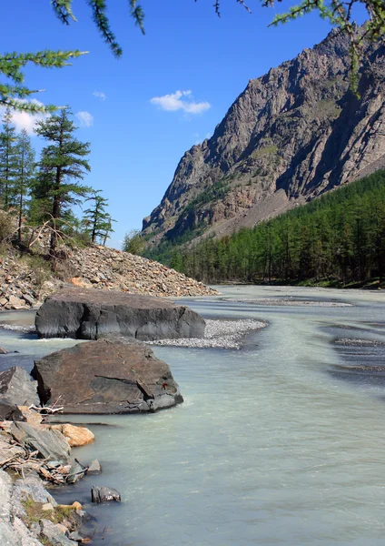 Montagne Altaï. La Russie. La rivière Maashej . — Photo