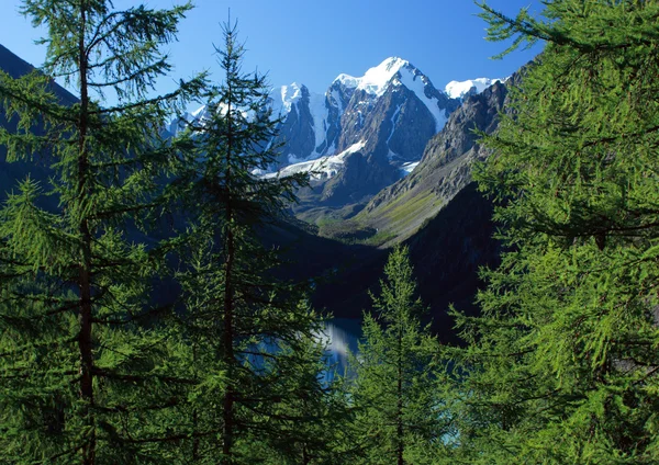 Berg de Altaj. Lake shavlinskoe. — Stockfoto