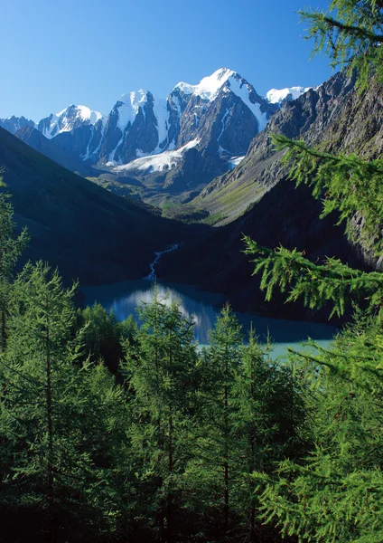 Muntele Altai. Lacul Shavlinskoe . — Fotografie, imagine de stoc