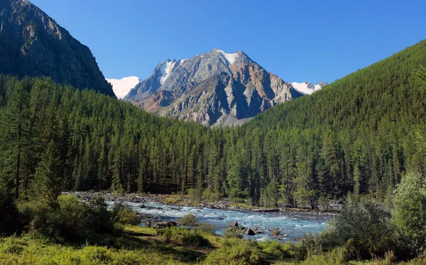 阿尔泰山区。河shavla — 图库照片