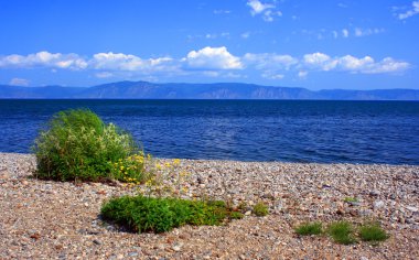 Deniz Baykal, Rusya Federasyonu.