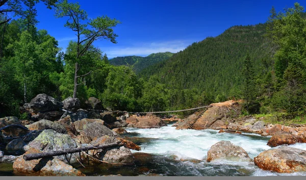 El río de la montaña. — Foto de Stock