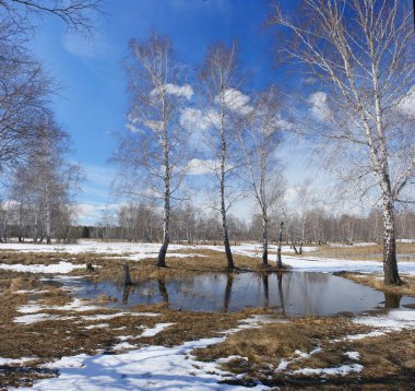 Early spring. Countryside in Central Russia clipart