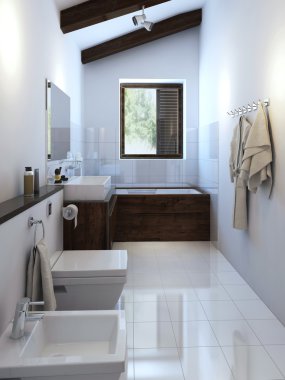 banyo modern tarzı