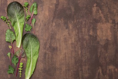 Taze yeşil otlarla yemek pişirme arka planı, kahverengi arka planda çeşitli marul yaprakları. Sağlıklı vejetaryen diyet gıda konsepti, üst görünüm, fotokopi alanı, düz yatak
