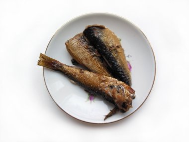 sprats