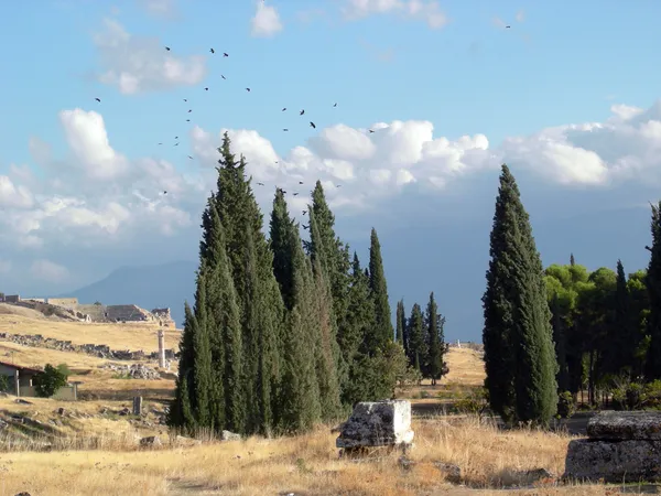 Antik kalıntılar — Stok fotoğraf