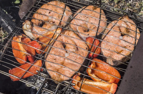 The Norwegian trout on a lattice — Stock Photo, Image