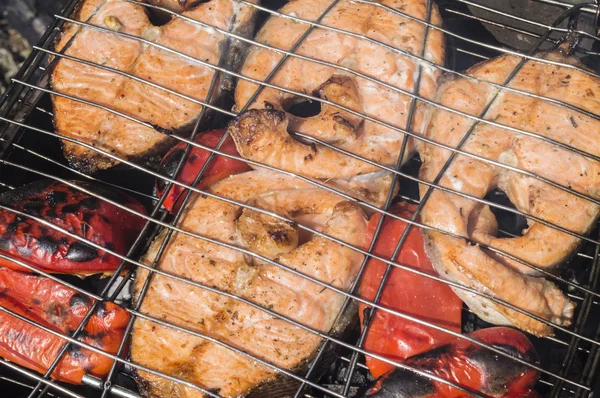 The Norwegian trout on a lattice — Stock Photo, Image