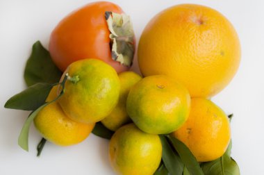 Mandalina, Trabzon hurması, turuncu