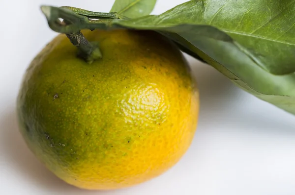 Mandarina fresca —  Fotos de Stock