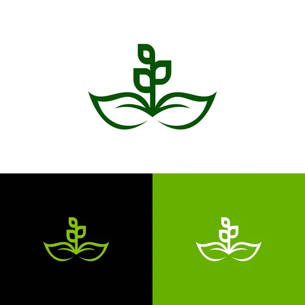Farm Logo Template Organic Product Sticker Farmers Market — Stock Vector