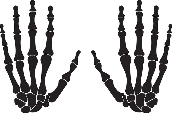 Hand skeleton Stock Vector Image by ©alexghidan89 #43451075