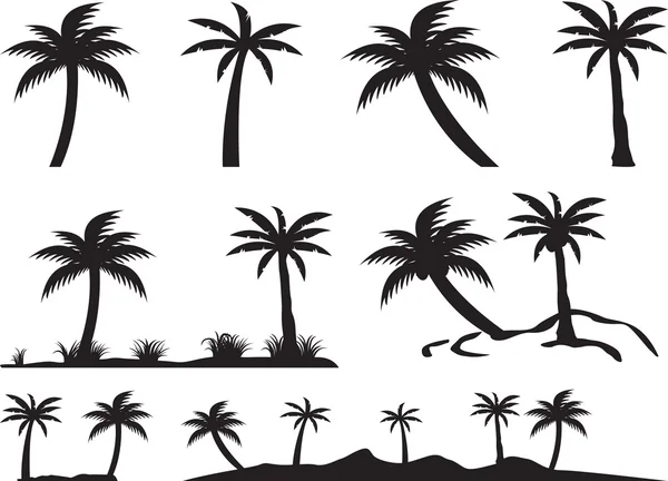 Palmeras e islas — Vector de stock