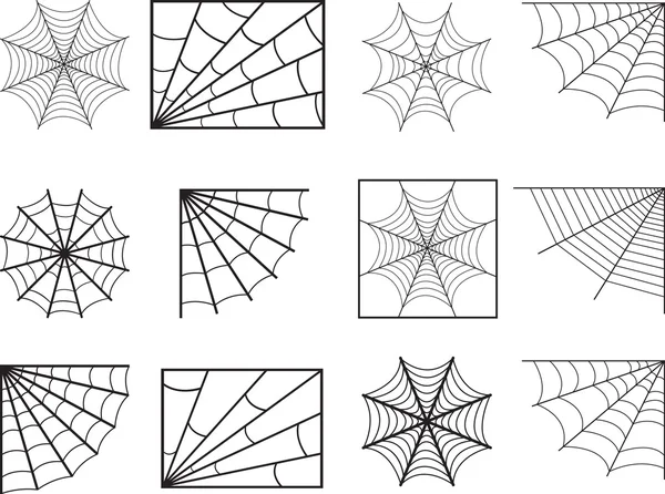 Spider web — Stock Vector