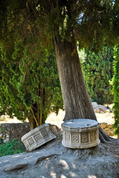 Harabeleri antik gymnasion, kos Adası, Yunanistan