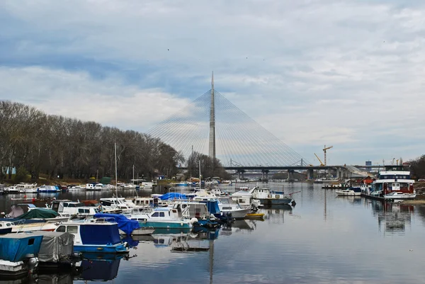 Sava Gölü ve Yeni Belgrad Köprüsü'nde görüntüle