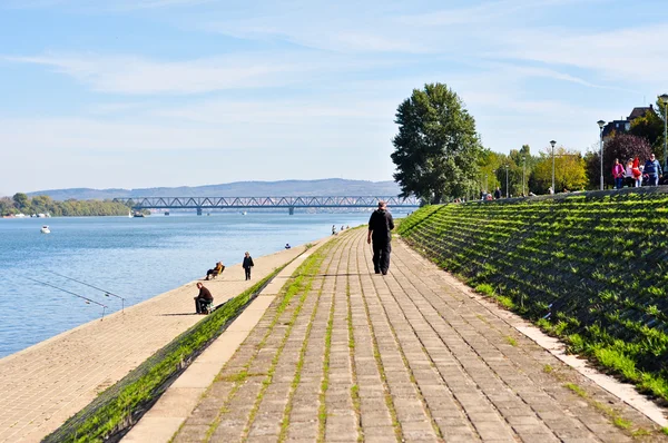 沿着多瑙河在贝尔格莱德长廊 图库照片