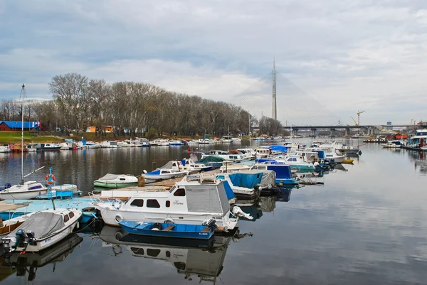 Jezioro Sava i widok na nowy most w Belgradzie Obraz Stockowy