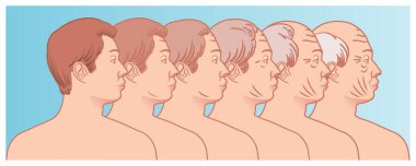 Farklı insan kafalarının vektör kümesi, yaşlanma süreci konsept çizimi