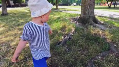 Adorable boy is having fun while walking in the park on a summer day. Active family vacation with children. A child touches the bark of a tree. Copy space - concept of nature exploration, ecology