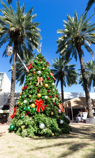 Christmas tree in Miami — Stock Photo, Image