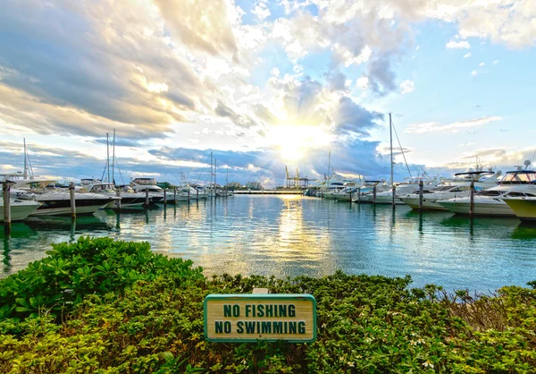 Miami docks — Stock Photo, Image