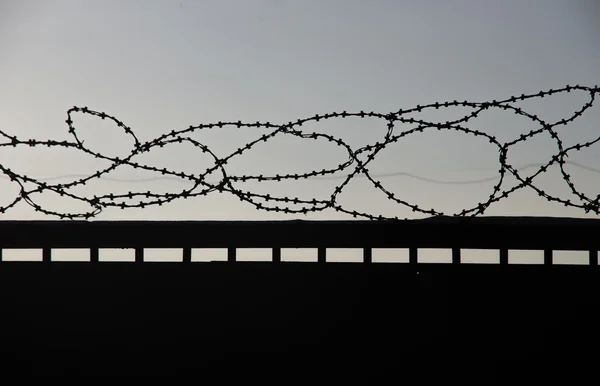 Razor wire — Stock Photo, Image