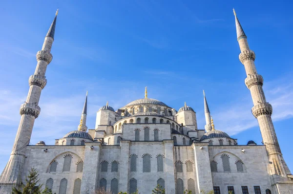 Modrá mešita, istanbul — Stock fotografie