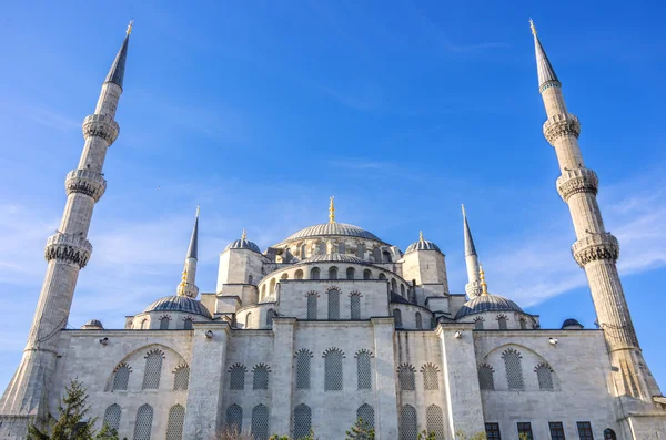 Mezquita Azul, Estambul —  Fotos de Stock