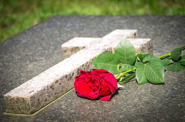 Rose on a tomb