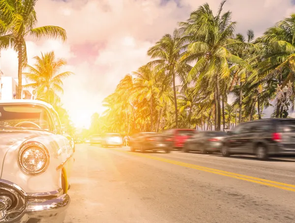 Miami, okyanus sürücü