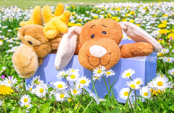 kutu dolu güzel çiçekli çayır üzerinde kuklalar
