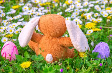 çayır üzerinde tavşan kukla ve Paskalya yumurtası