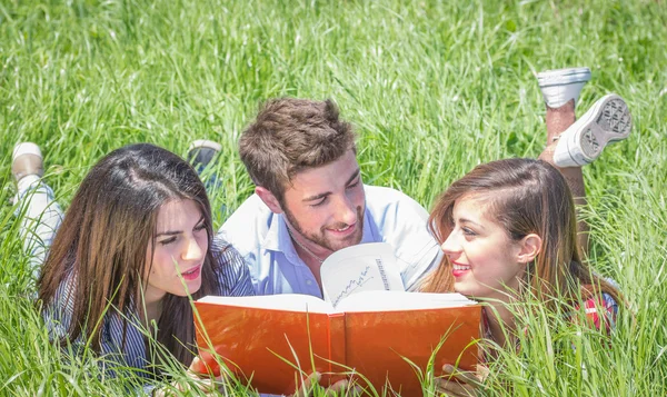Friends studying together — Stock Photo, Image