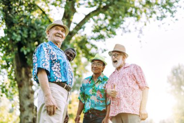 Parkta oynayan bir grup kıdemli arkadaş. Kıdem ve üçüncü yaş hakkında yaşam tarzı kavramları