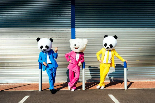 Imagine Povestitoare Unui Cuplu Purtând Cap Panda Gigant Costume Colorate — Fotografie, imagine de stoc