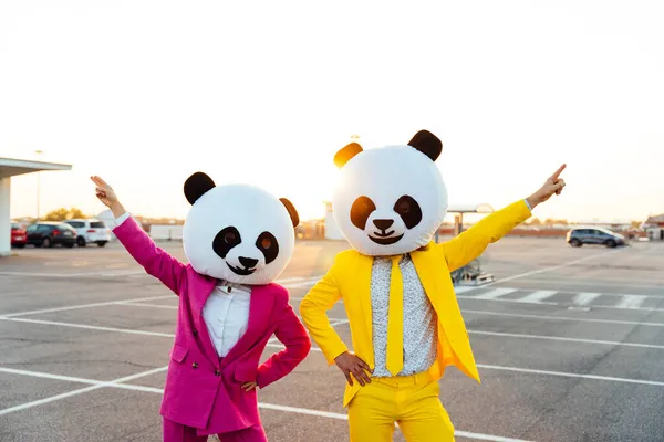 Mendongeng Gambar Pasangan Mengenakan Kepala Panda Raksasa Dan Setelan Berwarna — Stok Foto