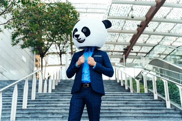 Image Narrative Homme Affaires Portant Une Tête Panda Géant — Photo