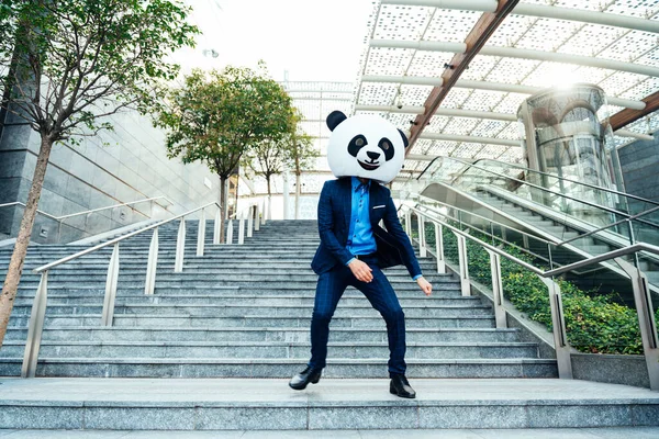 Opowiadający Historię Obraz Biznesmena Noszącego Wielką Głowę Pandy — Zdjęcie stockowe